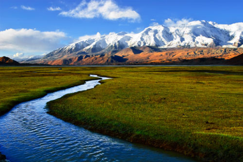 放弃躺赚后，景区赢麻了