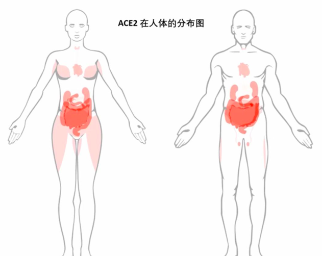 1584019687963010501.png 屏幕快照 2020-03-12 下午9.27.56.png