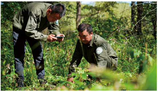 1663580858359030821.png image.png