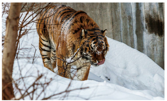 1663580869819047582.png image.png