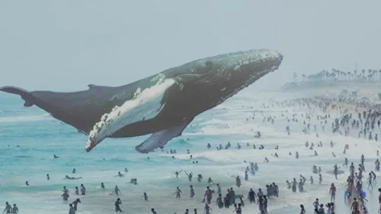 1668149309150053080.png image.png