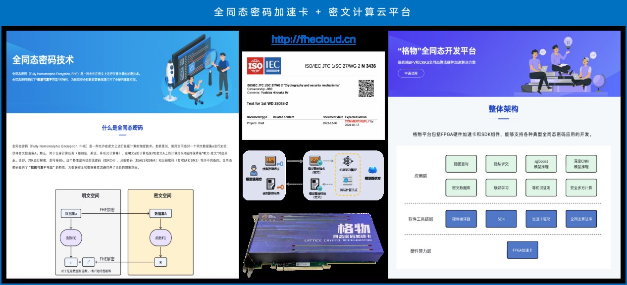 1730796668390044639.jpg 4.jpg