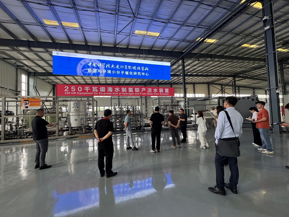 1751594694461060556.jpg 6.jpg