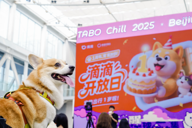 图为：小狗“六一”正在参加滴滴开放日