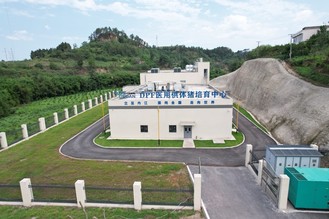 1764319892970095867.jpg 14.jpg