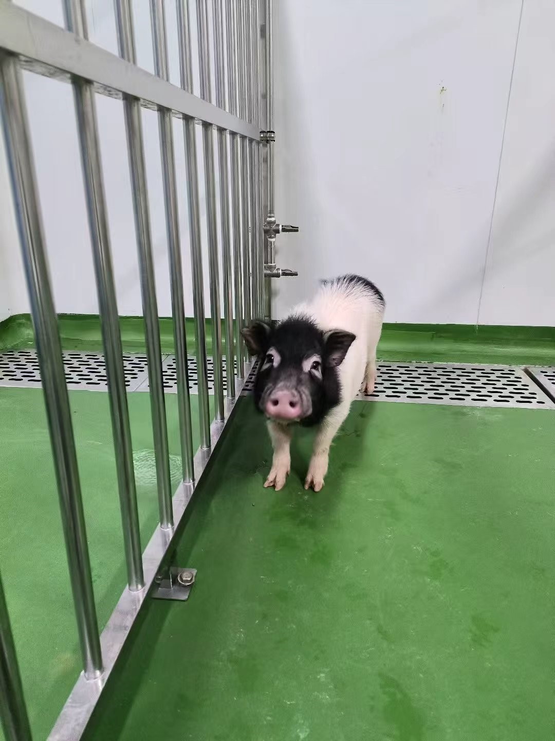 1764319903314070517.jpg 12.jpg