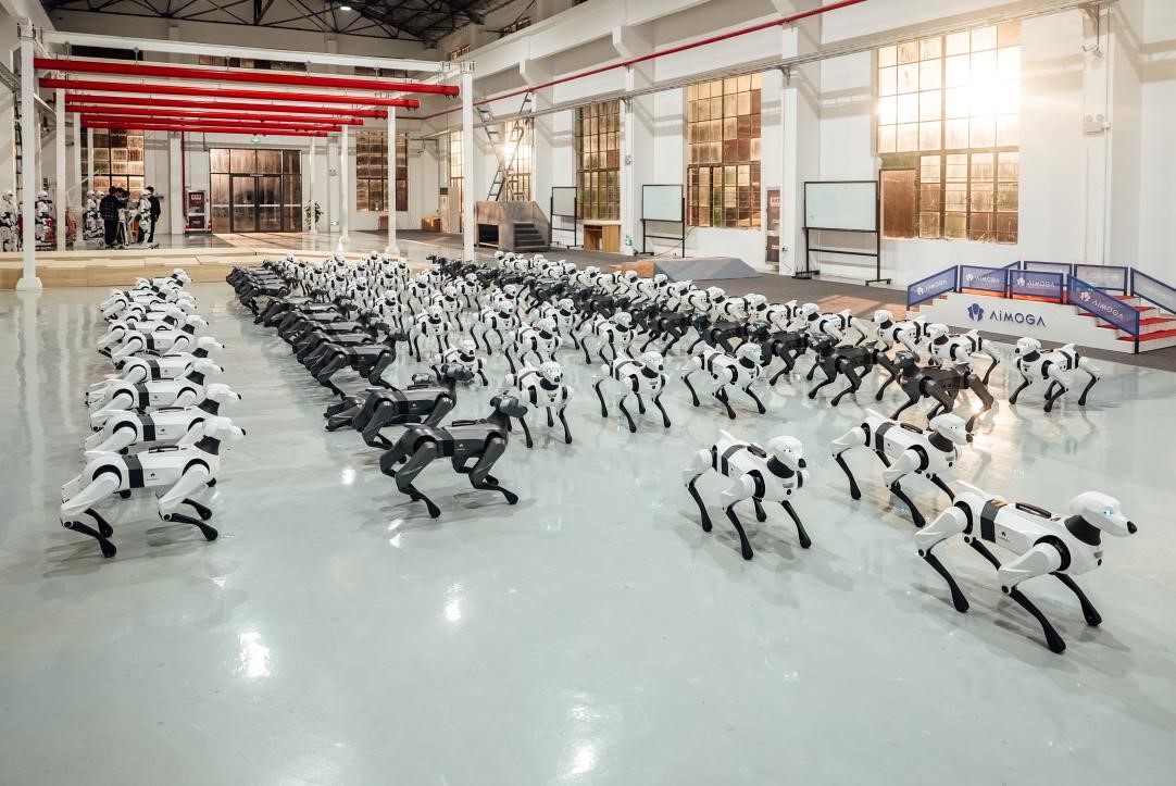 1765852291131078037.jpg 16.jpg