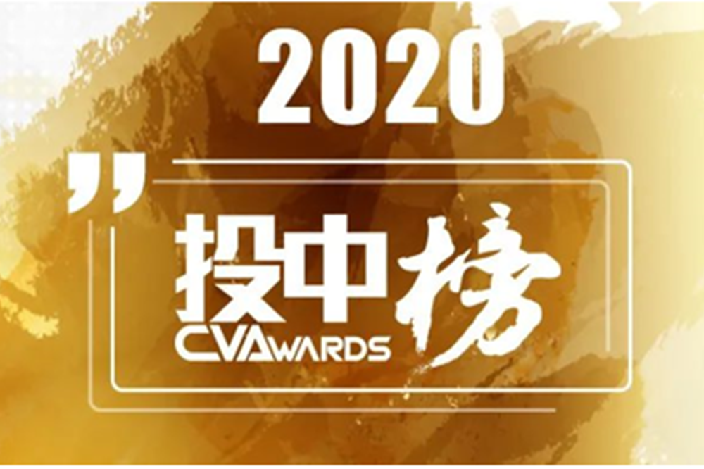 投中2020年度投资人榜单