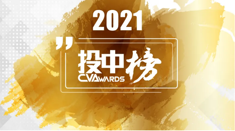 投中2021年有限合伙人榜单