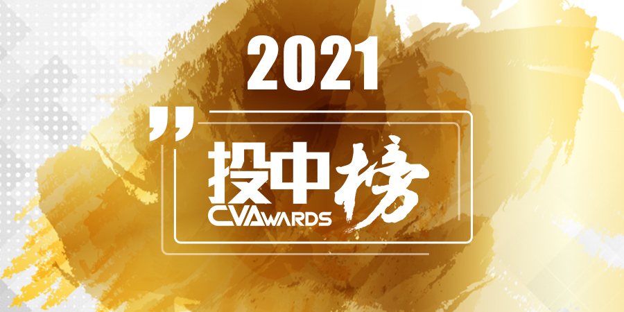 投中2021年度榜单