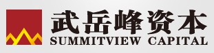 武岳峰资本