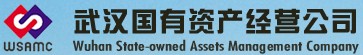 武汉国资公司