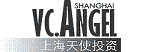 上海天使投资