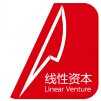 线性资本