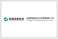 成都环投资本