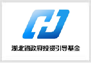湖北省政府投资引导基金