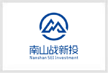 南山战新投
