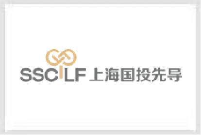上海国投先导