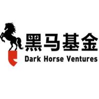 黑马基金