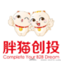 胖猫创投