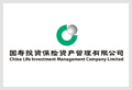 国寿投资保险资产管理有限公司