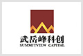 武岳峰科创